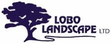 Lobo Landscape