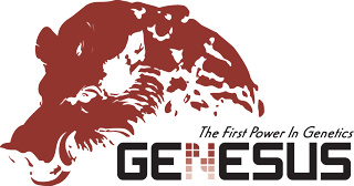 Genesus Inc. 
